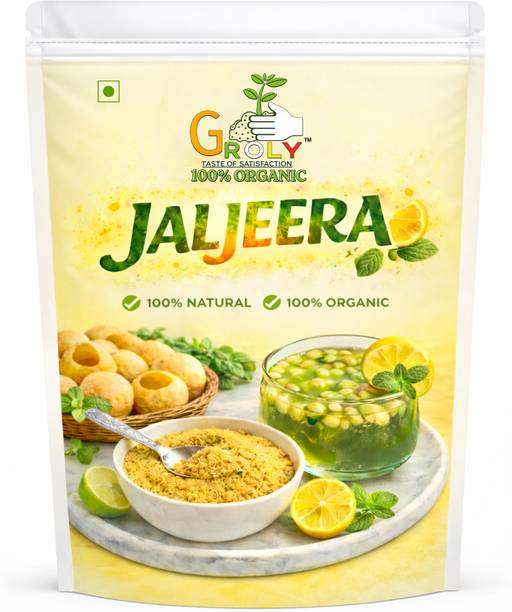 Groly Chatpata Jaljeera Masala for Pani Puri, Shikanji, No Added Preservatives