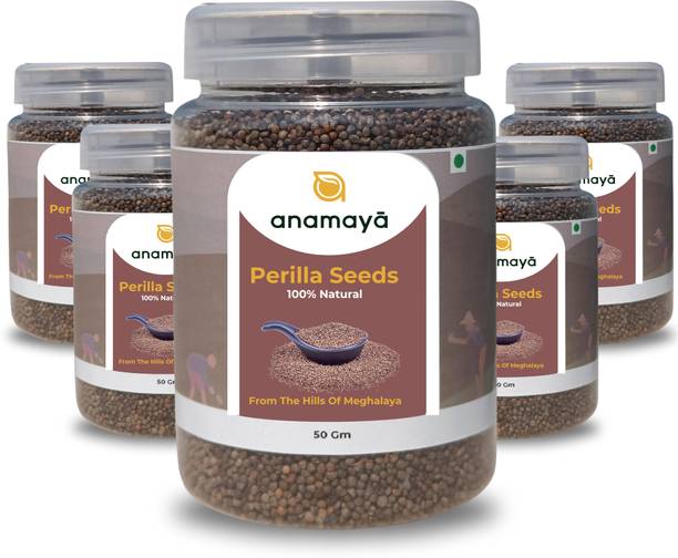 Anamaya Perilla| Seed|Grown and Harvested in Shillong
