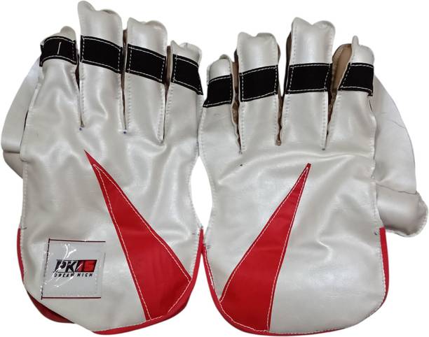 Garg Enterprises Cricket Keeping Gloves with Ball And I...