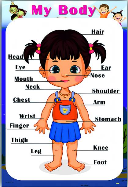 My Body Part Poster Vinyl