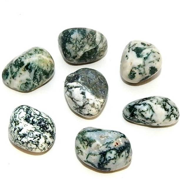 Solsticeshards Tree Agate Tumble 2Piece Decorative Showpiece  -  3 cm