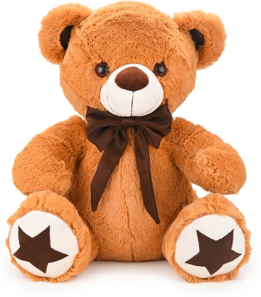 Nyaara Plush Teddy Bear with Star Paw Valentine Gift for Wife Husband Boy & Girlfriends  - 23 cm