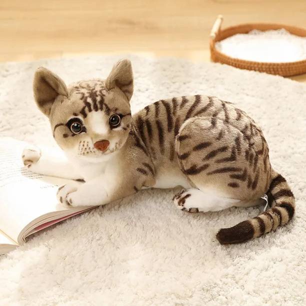 plush joy PLUSHJOY Cat Soft Stuffed Plush Animal Toy for Kids and Gift Toys (pack of 1) - 34 cm