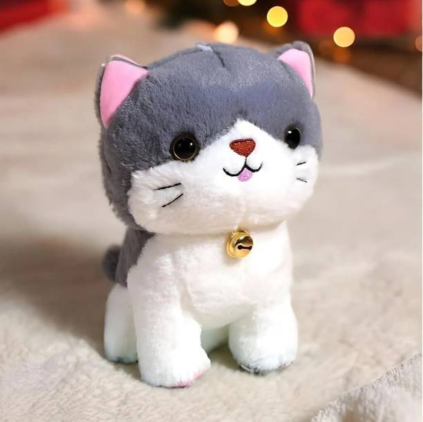 Dunky cat Plush Toys, Soft Toy, Kids Soft Toys for Girls - 10 cm
