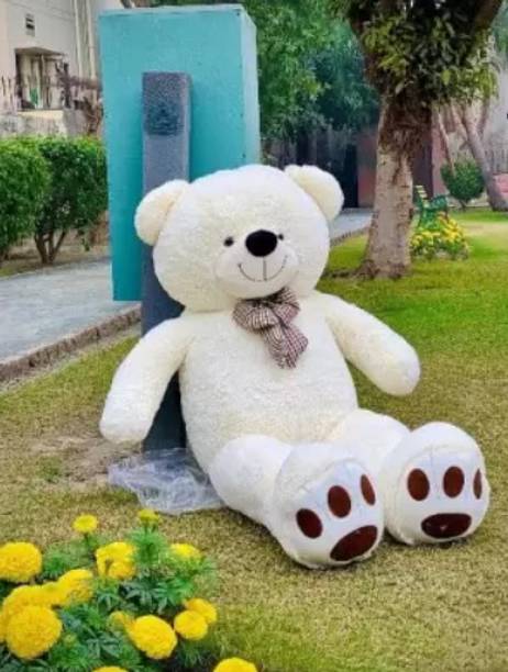 KHUSHBU ENTERPRISES White Color Teddy Bear 5 Feet For Boys Girls Birthday Gift Marriage Anniversary  - 60 inch