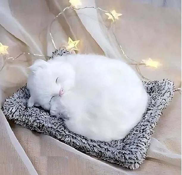 Little hands decor Cat Plush Toy  - 180 mm4.4(7)₹170₹49965% offOnly few left