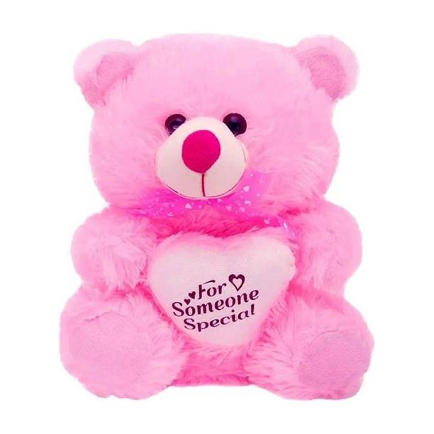 Kiddietown STUFF TEDDY BEAR WITH HEART (SOMEONE SPECIAL) SITTING/ GIFT FOR GIRLFRIEND/ GIFT FOR SOMEONE SPECIAL/VALENTINES DAY GIFT/ BIRTHDAY GIFT/ ANNIVERSARY GIFT  - 60 cm