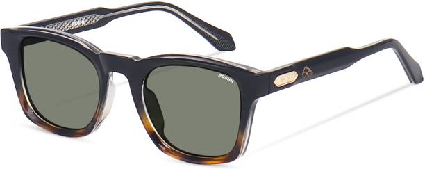 Poshh eyewear Wayfarer Sunglasses