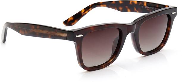 Titan Retro Square Sunglasses