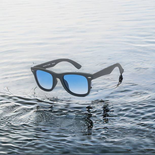 Netwiz Wayfarer Sunglasses