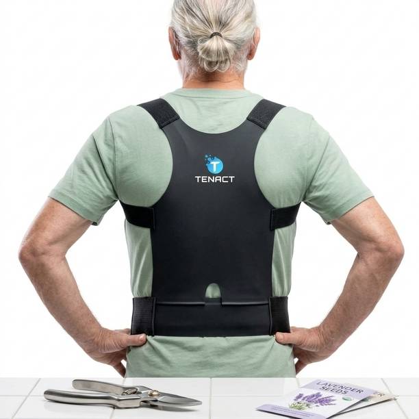 TENACT Back Support Posture Corrector Belt for Office Home Daily Comfort Posture Corrector