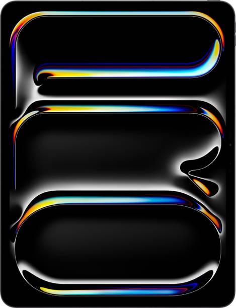 Apple 2025 iPad Pro (M5) 12 GB RAM 256 GB ROM 13.0 inch with Wi-Fi+5G Apple M5 Chip (Space Black)