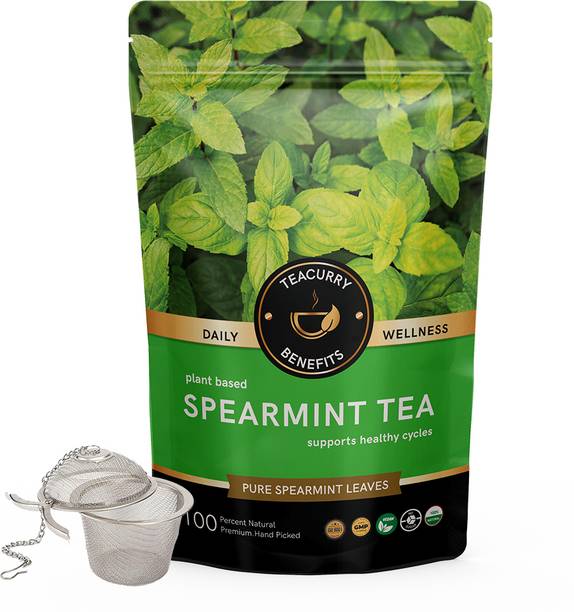 TEACURRY Spearmint Leaf Tea - 100 Gms Loose Tea + Infuser | Helps in Hormone Imbalances, Facial Hair, Memory Herbal Tea Pouch