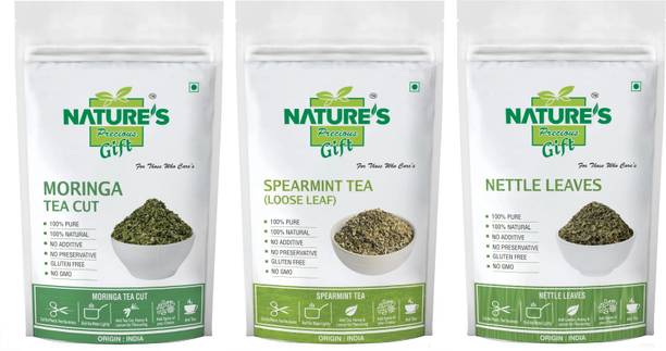 Nature's Precious Gift Nettle Leaves, Moringa Tea & Spearmint Tea - Immunity Tea combo - 100 gm Each Herbal Tea Pouch