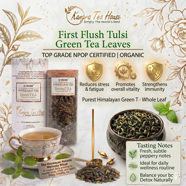 Kangra Tea House Certified Organic Kangra Tulsi Green Tea-KTH DiviniTEA -20gms Tulsi Green Tea Glass Bottle