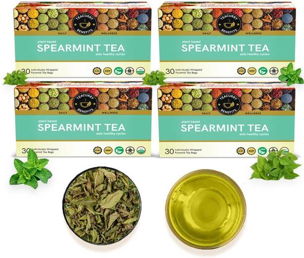TEACURRY Spearmint Leaf Tea - 120 Tea Bags | Helps in Hormone Imbalances Assorted Herbal Tea Bags Pouch