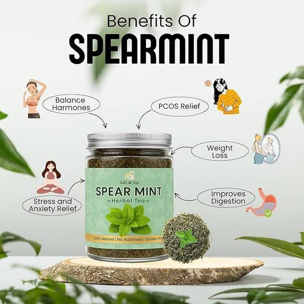 Salt & Sip Spearmint Leaves Tea Support PCOS, PCOD Relief, Weight Loss & Balance Hormone Green Tea Box