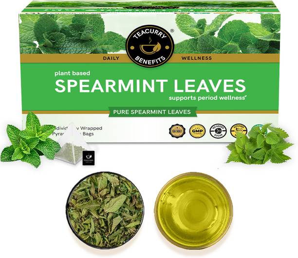 TEACURRY Spearmint Leaf Tea - 30 Tea Bags | Helps in Hormone Imbalances Assorted Herbal Tea Bags Pouch