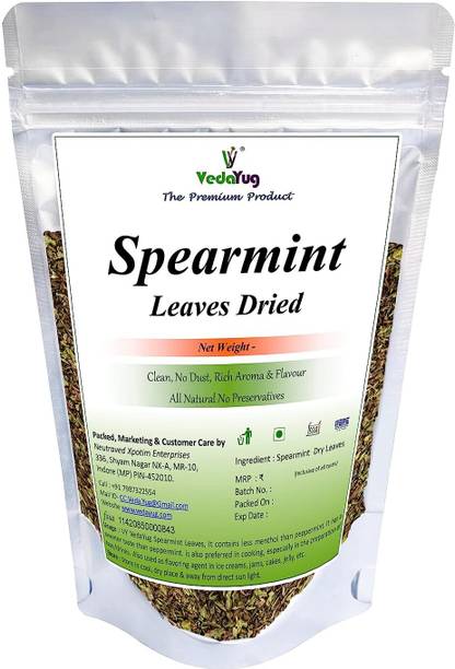 VY VedaYug Spearmint Herbal Tea Pouch