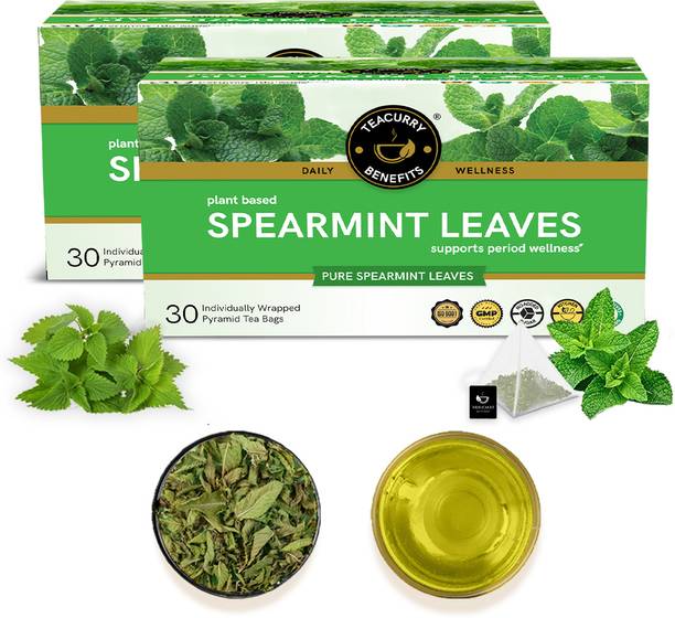 TEACURRY Spearmint Leaf Tea - 60 Tea Bags | Helps in Hormone Imbalances Assorted Herbal Tea Bags Pouch