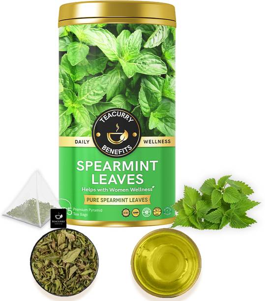 TEACURRY Spearmint Leaf Tea for PCOS, PCOD, Hormonal Balance, Pimples, Unwanted Hair | Herbs Herbal Tea Tin