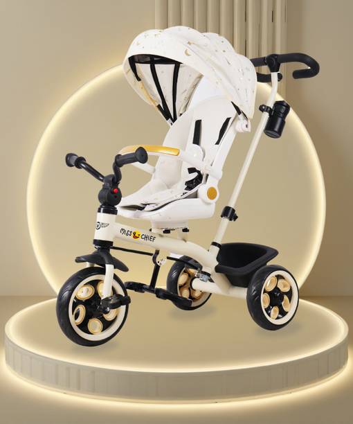 Miss & Chief Nicole Parental Tricycle with Canopy with stroller Sturdy and Safe for Kids (Ages 2-5yrs) Tricycle