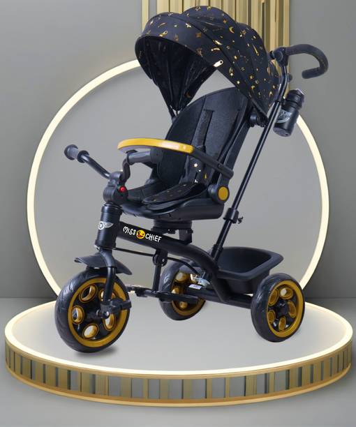 Miss & Chief Nicole Parental Tricycle with canooy with stroller Nicole Tricycle Tricycle