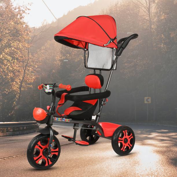 N2P Reversible Seat Tricycle with Parent Push Bar,Canopy,Storage Basket Best For 1 to 5 Years Baby Kids Tricycle