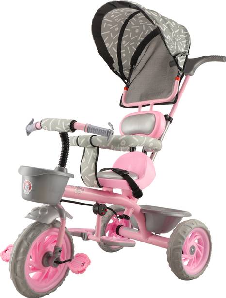 JoyRide Tiny Trekker Tricycle for Kids | 1.5 to 5 Years | Parental Push Handle | Foldable Canopy | Storage Baskets | Plug & Play Trikes for Girls Boys Tricycle