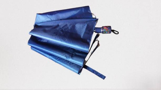 SUMS&CO. Heavy Duty Steel 2 Fold Multicolor Polyester Umbrella UB172 Umbrella