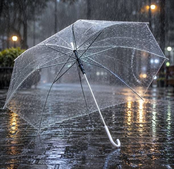 krishiva enterprise Premium Transparent Umbrella Umbrella