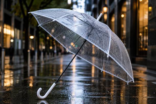 ICONICSTOREE Transparent Umbrella Umbrella