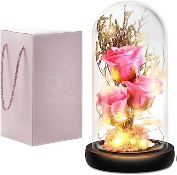 Zinley Lamp Gift Set