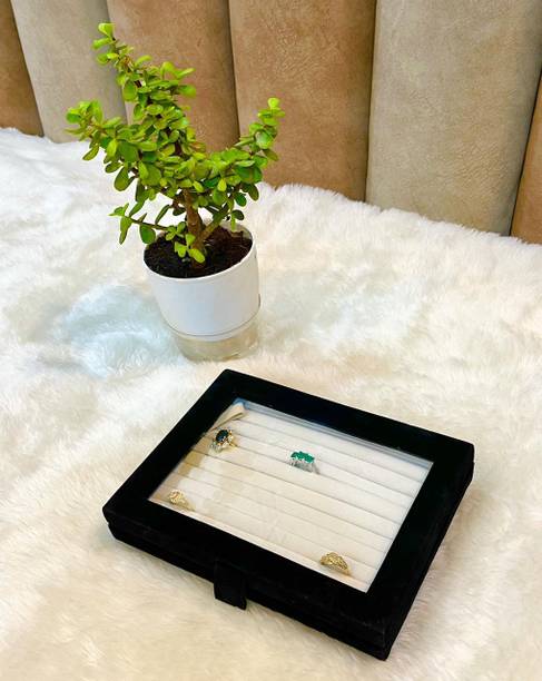 Addyz Ring Box with clear Display Jewellery Vanity Box