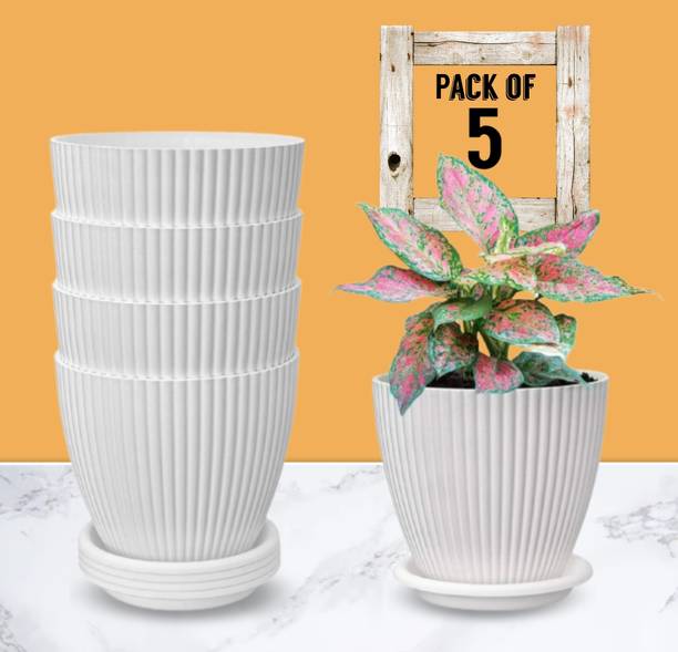 TFH Microfibre, Plastic Vase