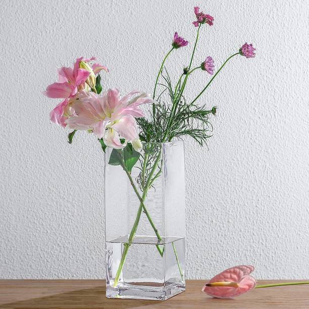 Apoorva Glass Glass Tall Square Vase (6 X 4 Inches, Clear) Glass Vase