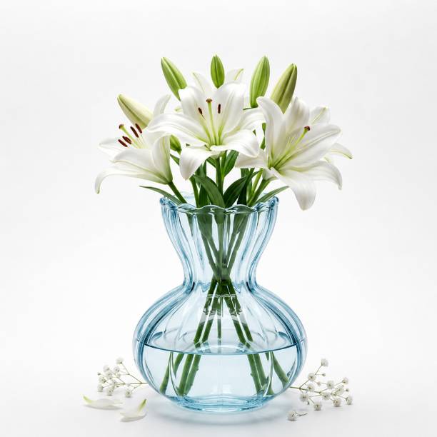 The Castle Crafts Hand Blown Glass Vase for Living Room Centre Table Home Decor Wedding Gifting Glass Vase