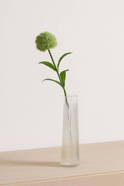 SAVORADE 12inchTall Decorative Clear Glass Flower Vase Cylinder Aquarium Tank