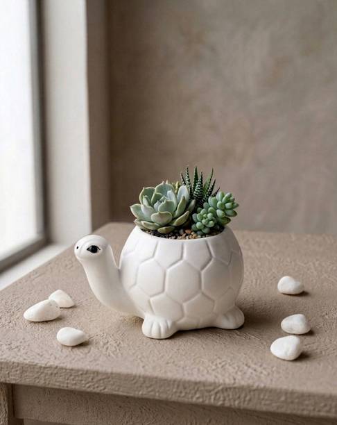 product-media-img