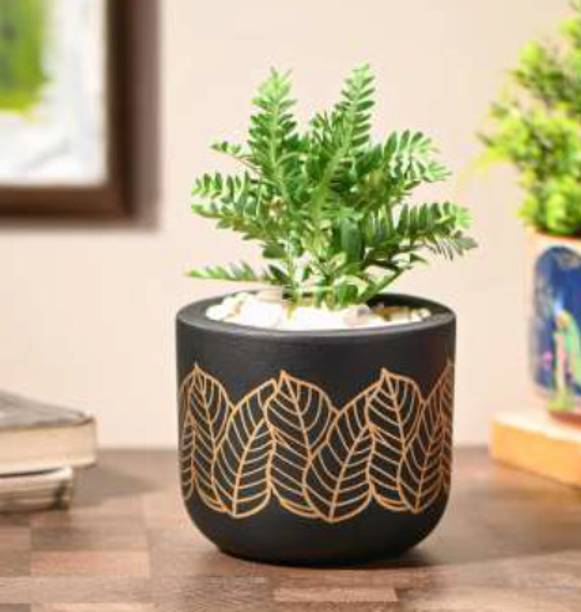 Terracotta Flower Pot 3053 Terracotta Vase