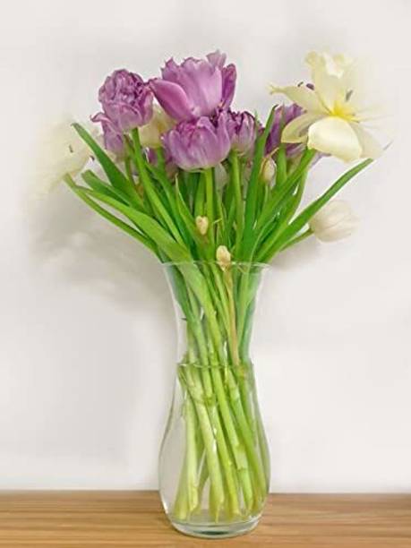 SAVORADE 10inchi vase @11 Round Ends Aquarium Tank