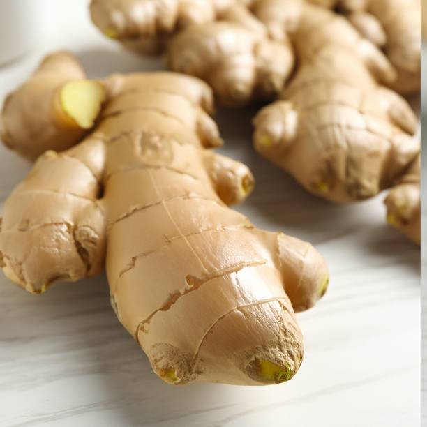 Ginger
