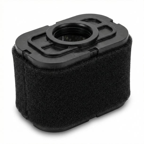 Scooter Asia Bike Air Filter For TVS Ntorq 125