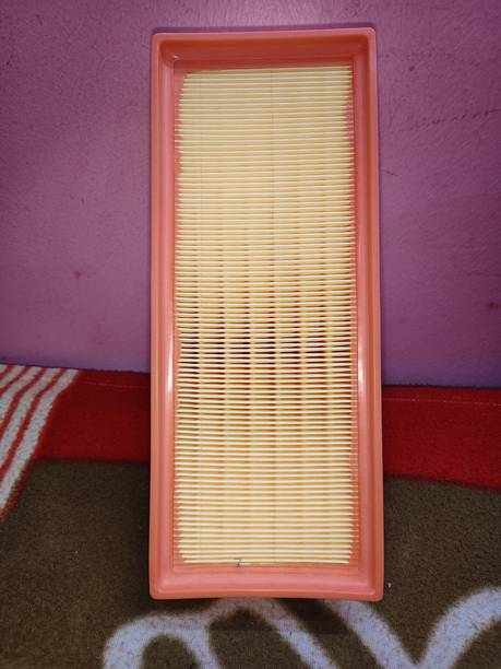 SGE Car Air Filter For Audi A4