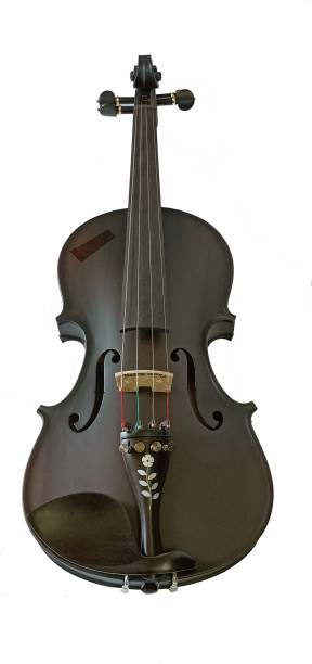musical works srtm0116 4/4 Semi- Acoustic Violin