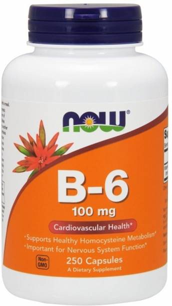 Now Foods B-6, 100 mg,