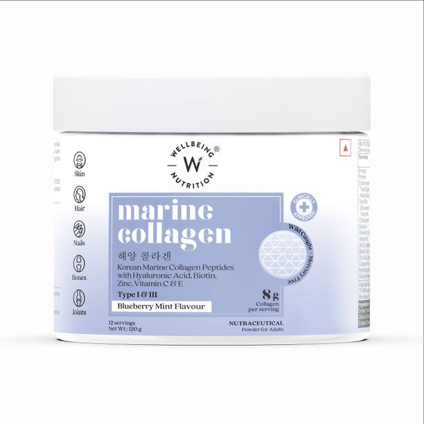 Wellbeing Nutrition Marine Collagen, HLA & Biotin, Blueberry Mint Flavor, 120g