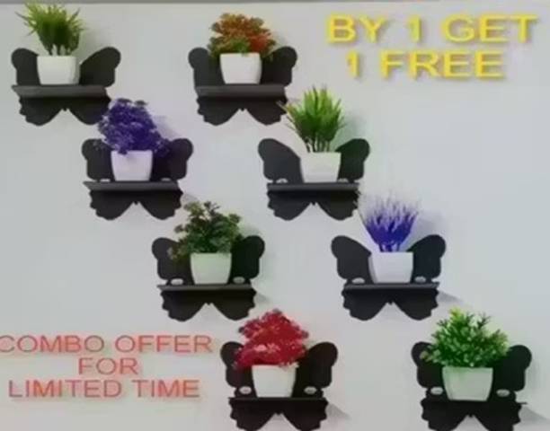 Sanwariya butterfly set of 8 black Pack of 8