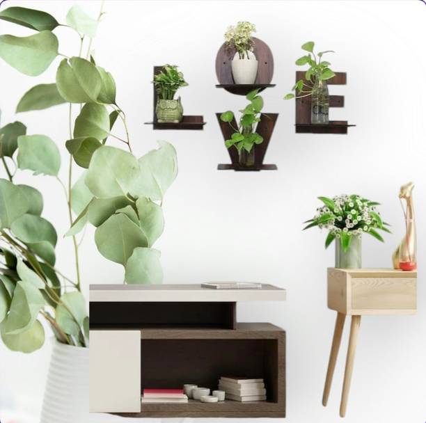 Trust Zone Love Pot Stand Decorative Wooden Wall Hanging for Home Decor Office Wooden Wall Shelf