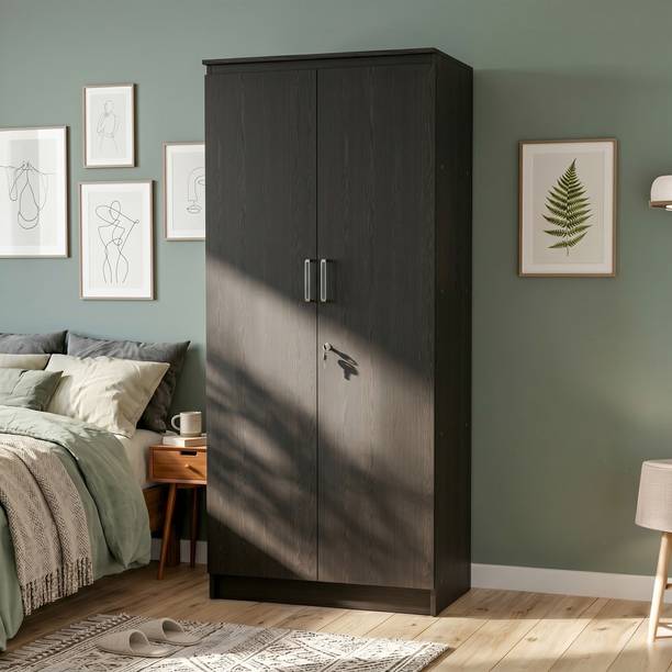 NEUDOT MONO Engineered Wood 2 Door Wardrobe